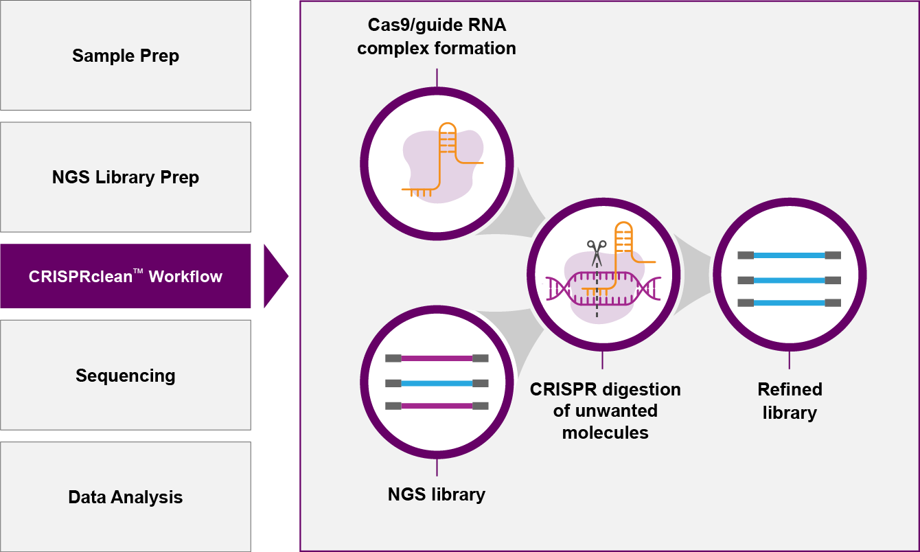 CRISPRclean workflow graphic