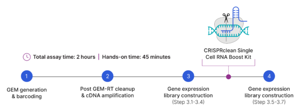 CRISPRclean single cell RNA boost workflow