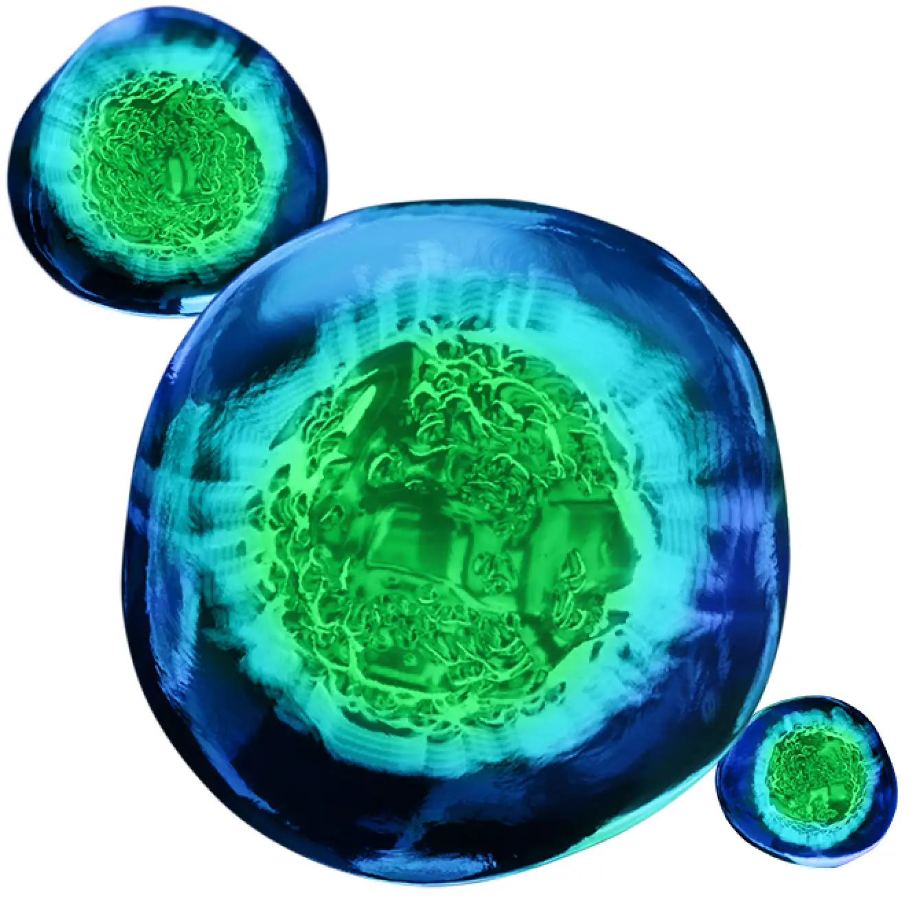 Image of 3 high-definition cells