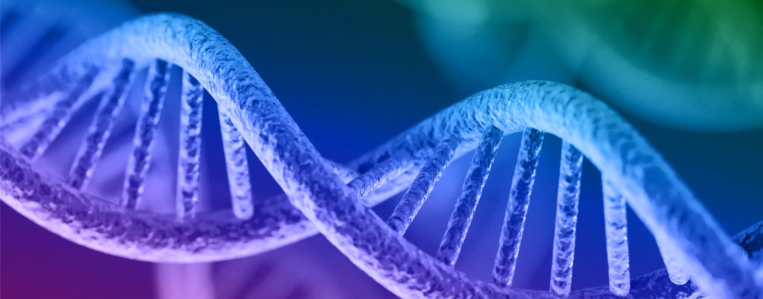 Stylized banner image of a DNA helix