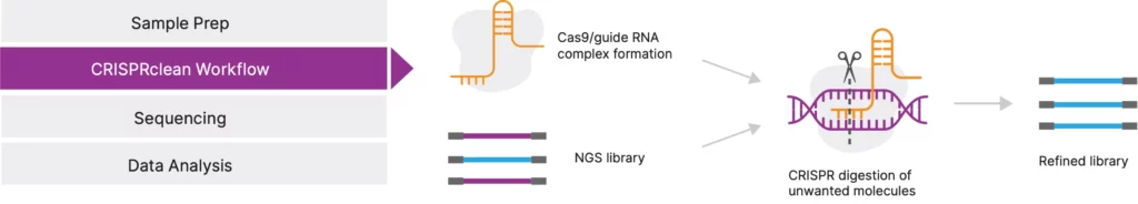 Diagram showing how CRISPRclean works