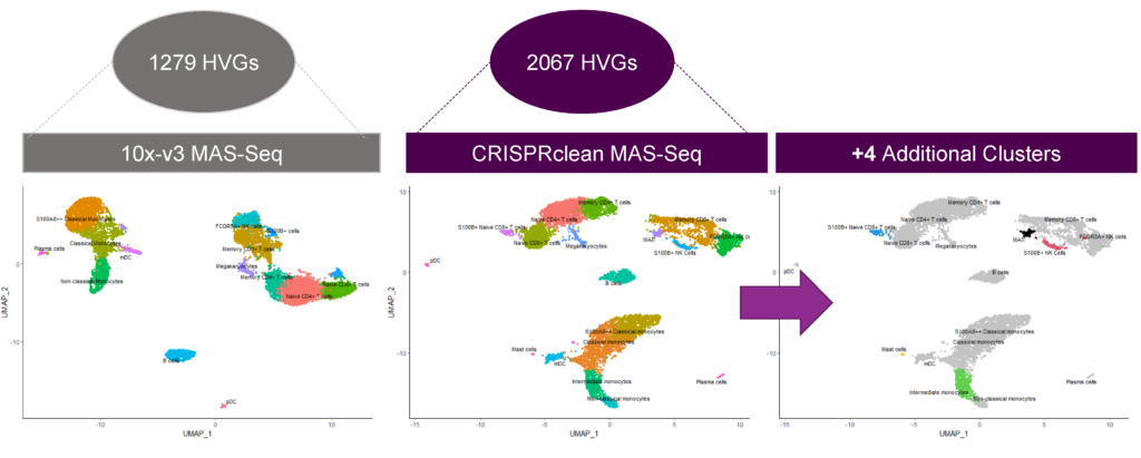 figure depicting Jumpcode depleted PacBio Mas-Seq data identifying four additional rare cell clusters in PBMC