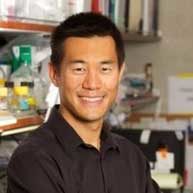 gene-yeo gene-yeo